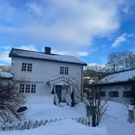 Familievennlig Fritidsbolig I Hjertet Av Fla, Perfekt For Besok I Bjorneparken Flå