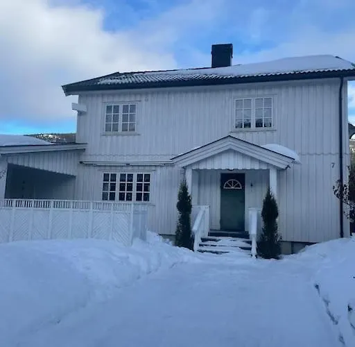 Familievennlig Fritidsbolig I Hjertet Av Fla, Perfekt For Besok I Bjorneparken Casa de Férias Flå