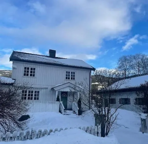Familievennlig Fritidsbolig I Hjertet Av Fla, Perfekt For Besok I Bjorneparken Flå